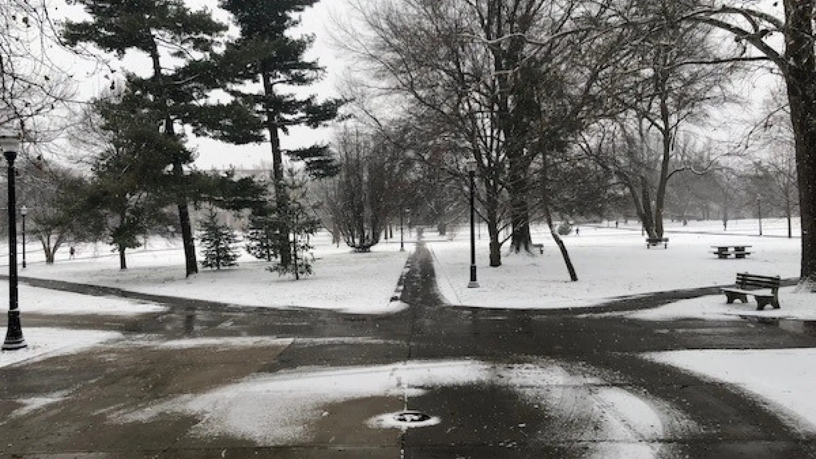 Snow on the Oval