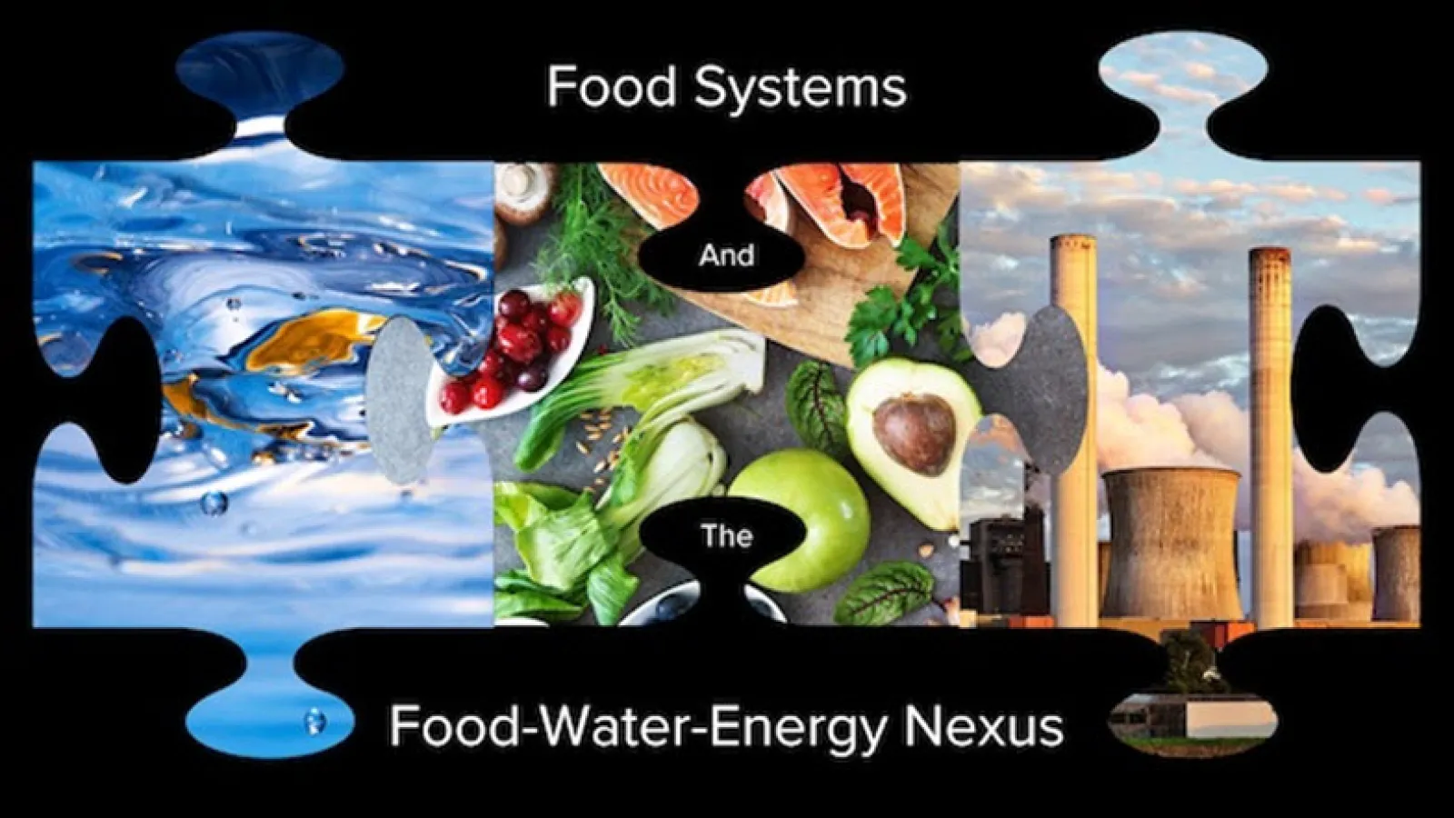 Puzzle pieces showing Food water Energy nexus
