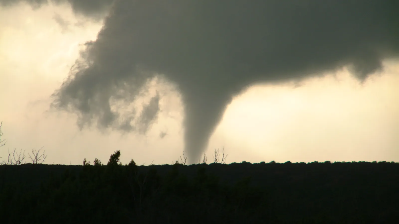 Tornado In Turkey, Texas