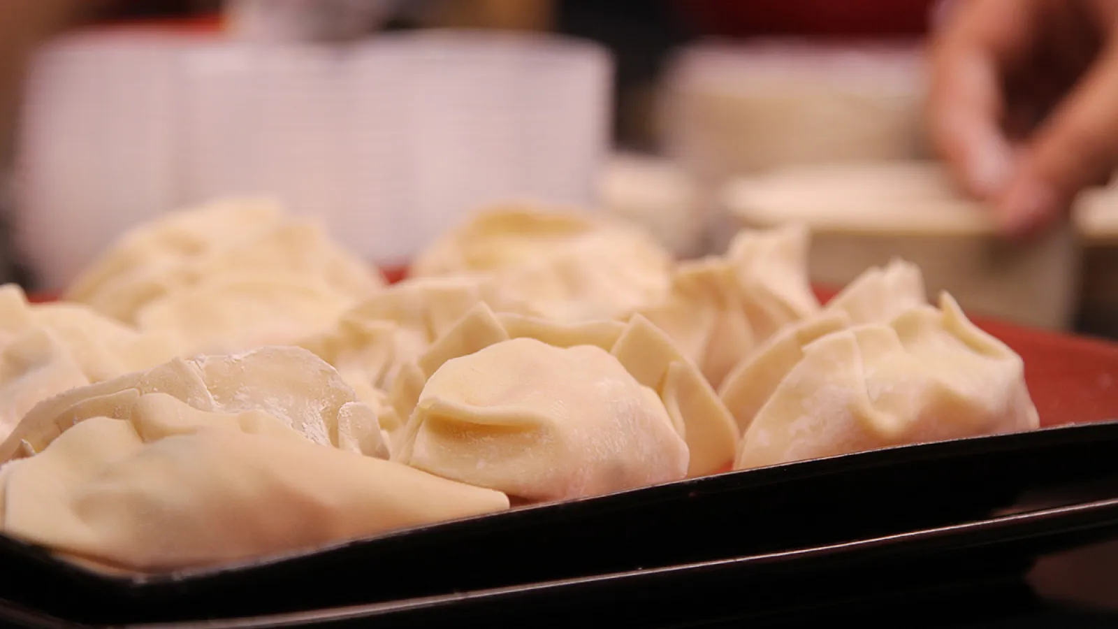 close up image of dumplings