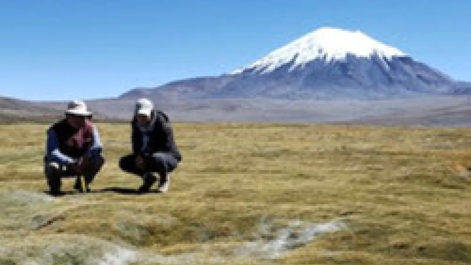 Gabo doing fieldwork