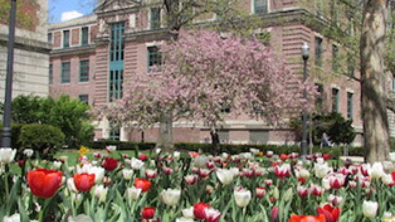 Derby Hall in Spring
