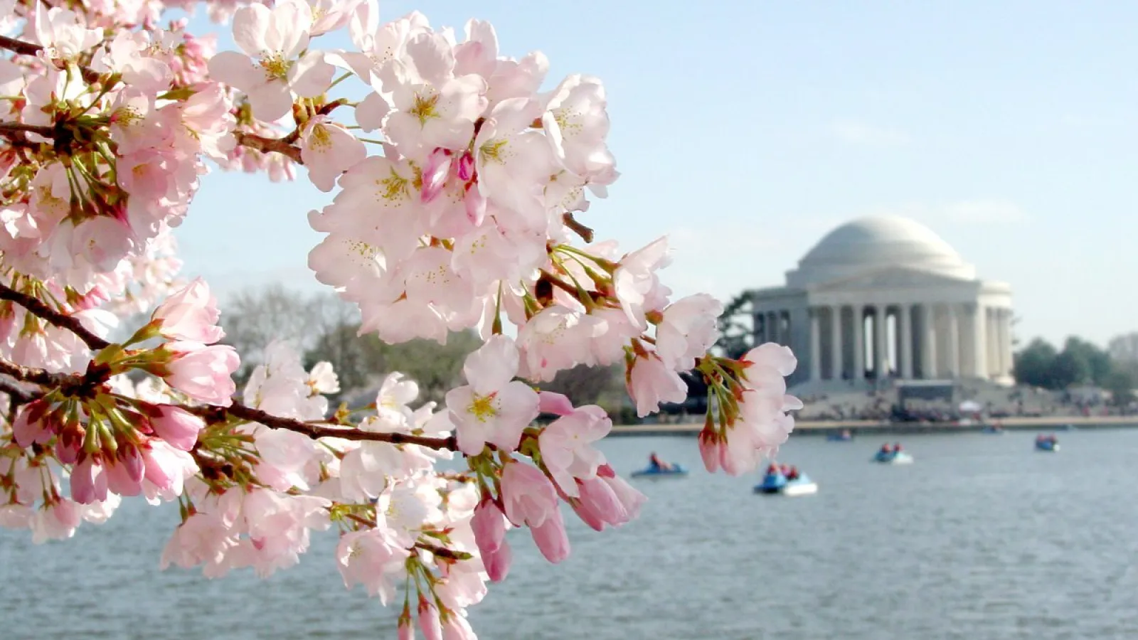 Washington DC