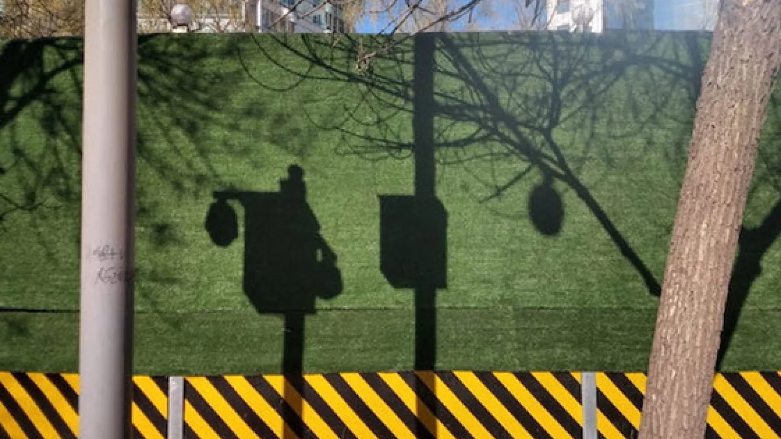 Beijing's citywide “greening” efforts