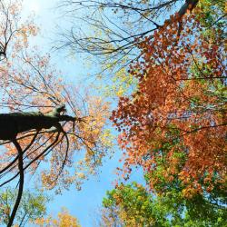 Fall picnic Dept. Fall Picnic
