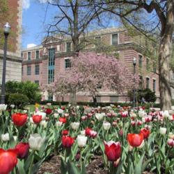 Derby Hall in Spring Derby Hall in Spring