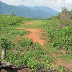 deforestation in central america deforestation in central america