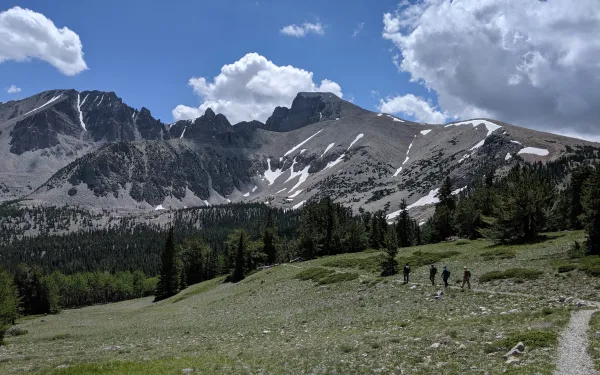 Hikers Meadow