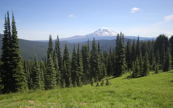 Mt Adams, WA; photo credit - Jon Anderegg