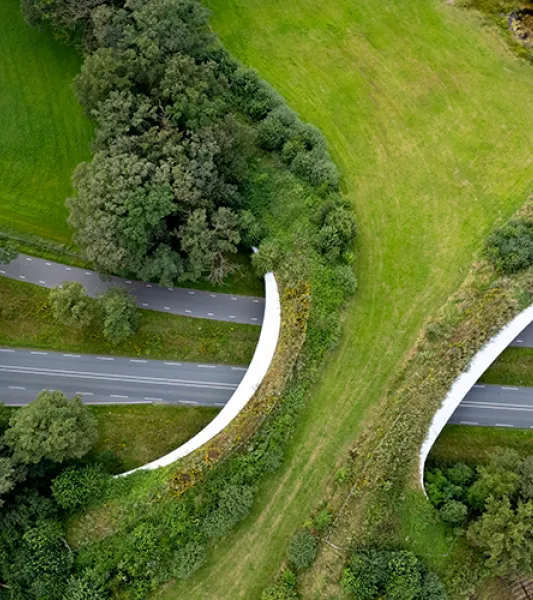 Stock photo - wildlife bridge