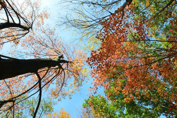 Fall picnic Dept. Fall Picnic
