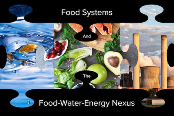 Puzzle pieces showing Food water Energy nexus