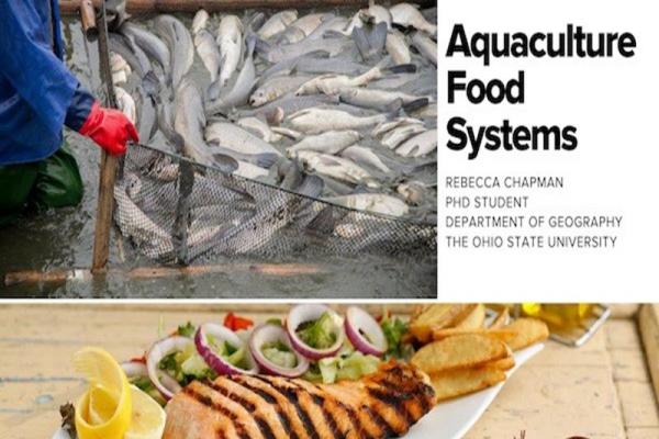 Aquaculture food systems