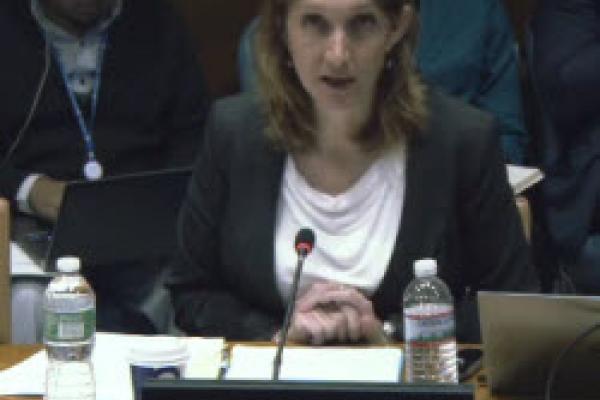 Kendra McSweeney at the UN Kendra at the UN