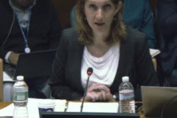 Kendra McSweeney presented remarks at a UN panel on Development Impacts ...