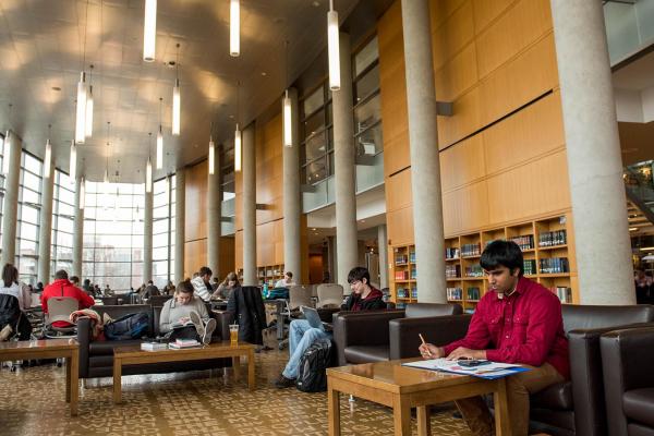 Students studying in library Students studying in library