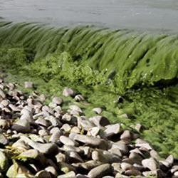 Climate change in Ohio Effects of climate change in Ohio